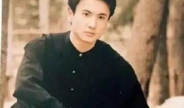 日媒爆料沈腾视频大全集,日媒揭秘视频大全集